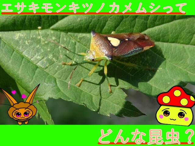 Thumbnail of post image 182